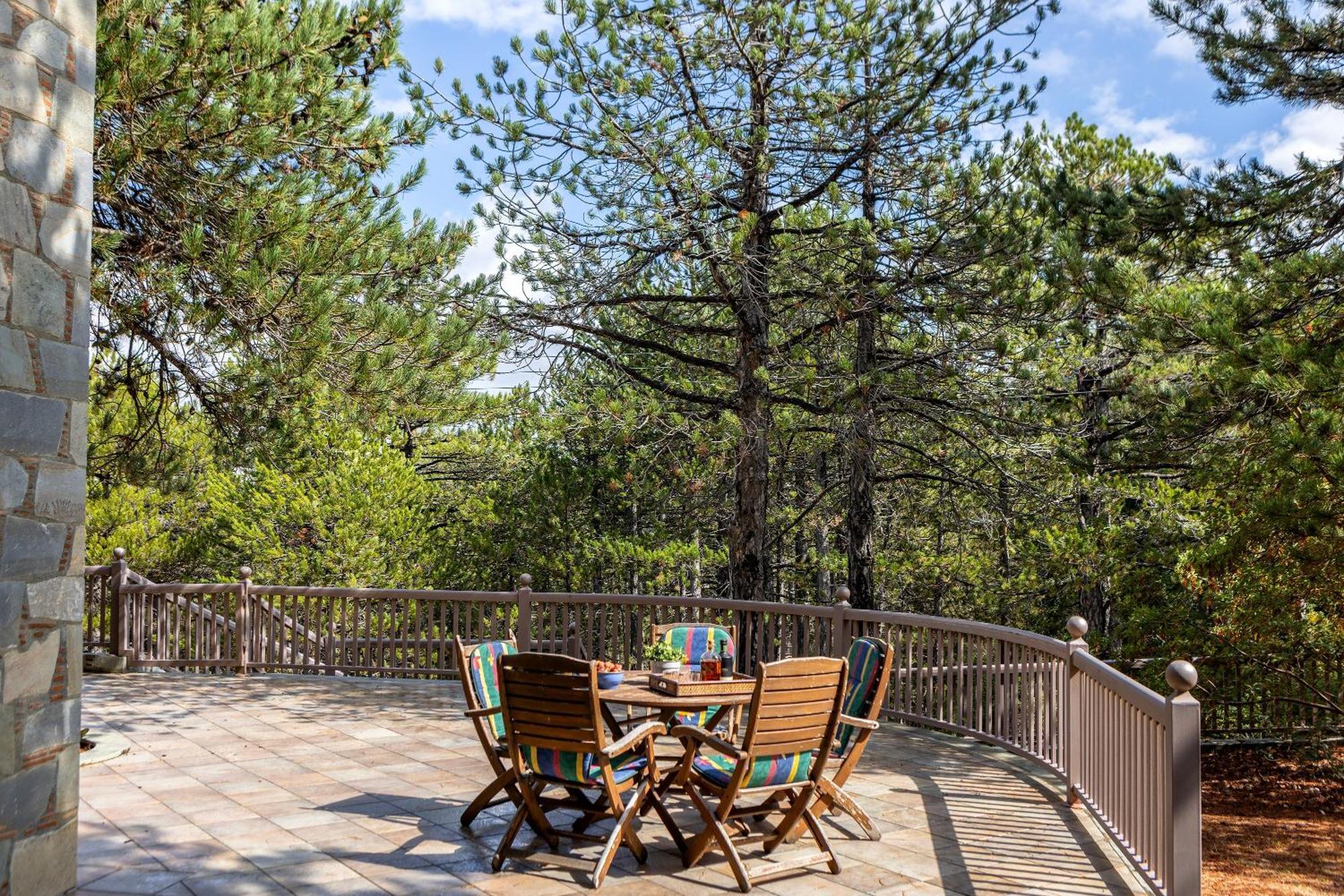 Troodos Mature Pine *