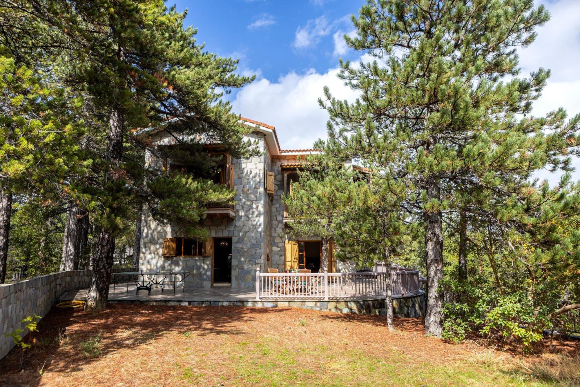 Troodos Mature Pine *